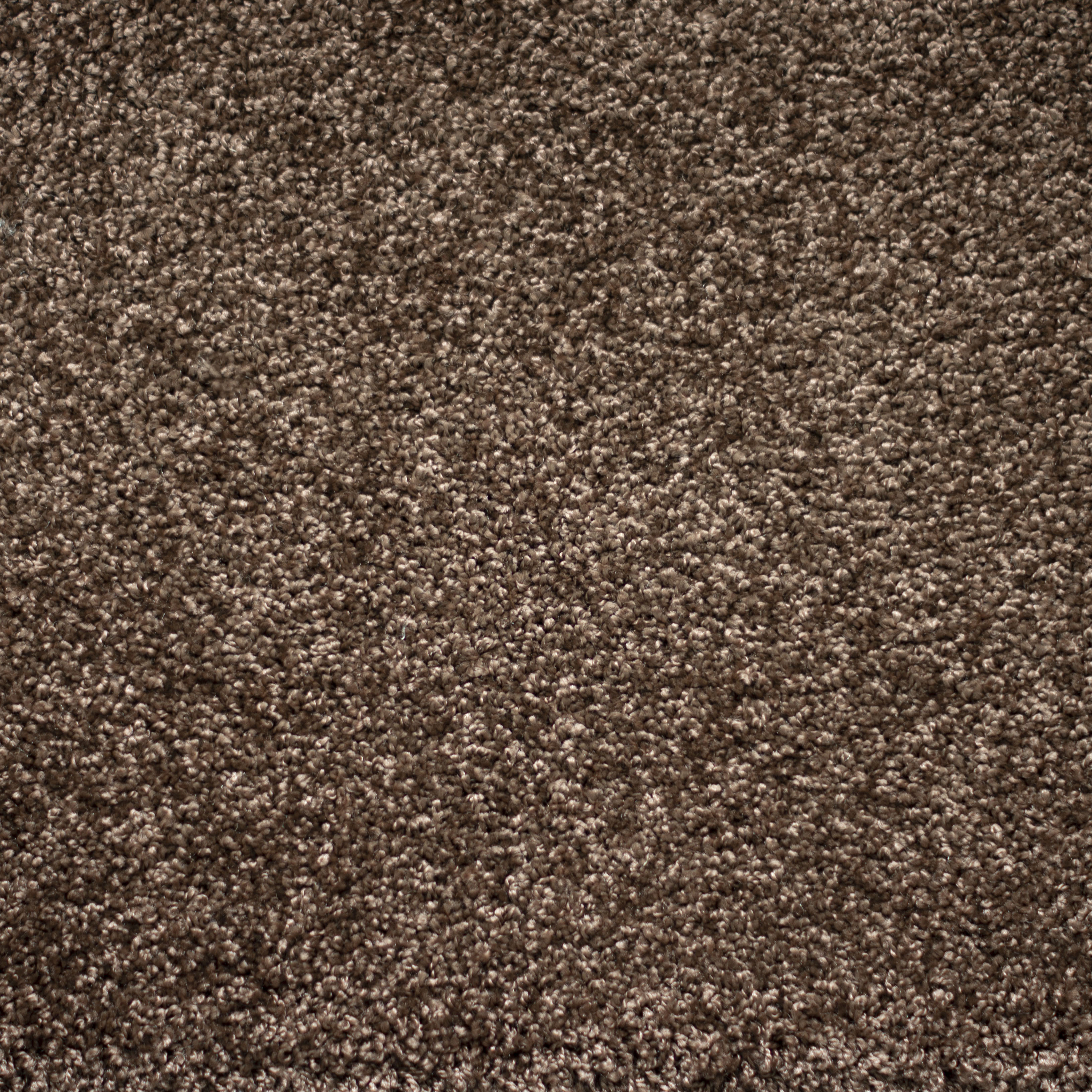 Ковролин "Зартекс" Tesoro 156 коричневый (4м) — купить в Шахтах