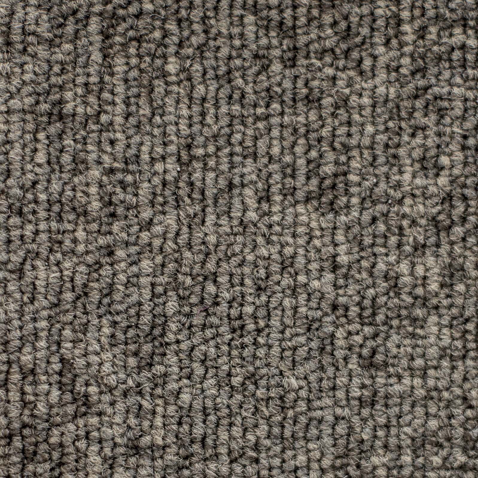 Ковролин "Зартекс" Daily 68 коричневый (4м) — купить в Шахтах