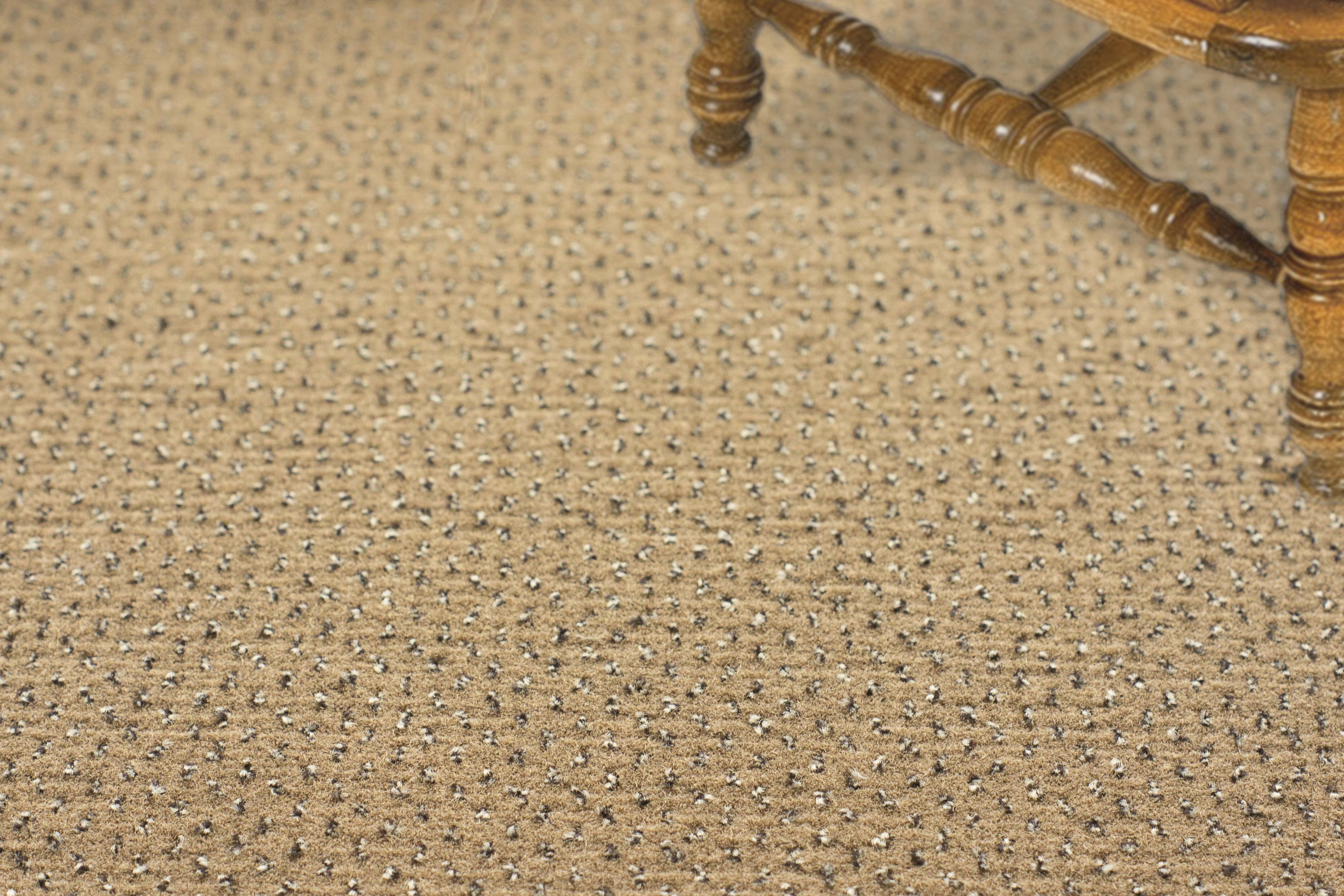 Ковролин "Зартекс" Eternity 142 бежевый (4м) — купить в Шахтах